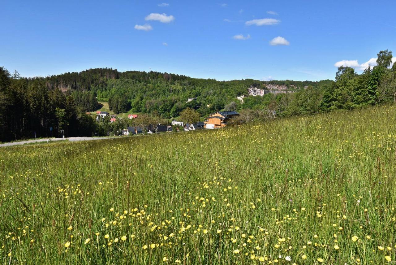 Apartamento Slunečný apartmán Černý Důl Exterior foto